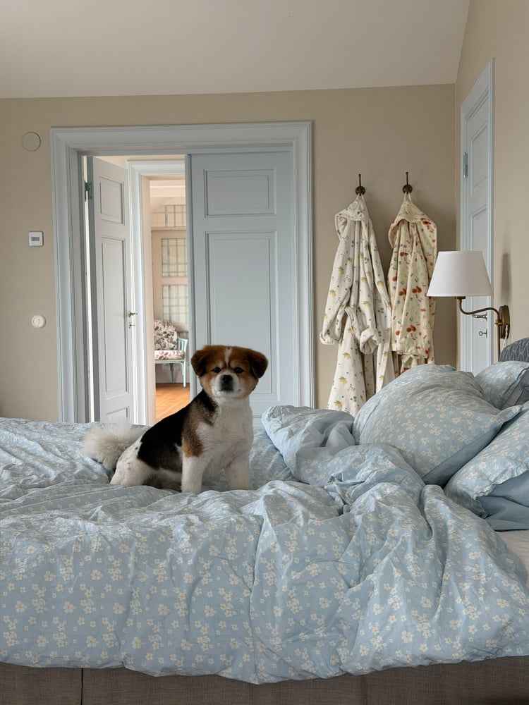Duvet Cover - Single