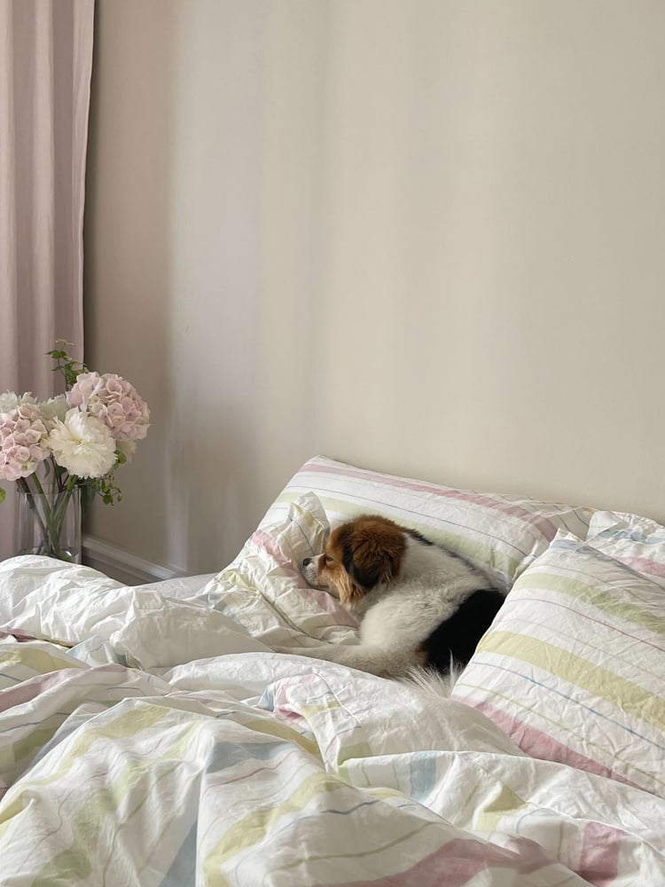 Pillow Case